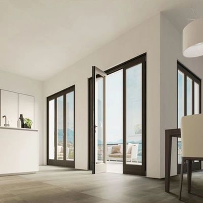 Modern Aluminum Glass Pivot Front Door Commercial Floor Spring System